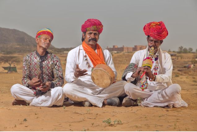 Rajasthan Royalty & Wildlife Expedition: A 14-Day Journey Through Heritage, Wilderness, and Desert Splendor