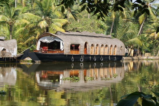 Kerala Beaches & Backwaters: A Journey to Relaxation